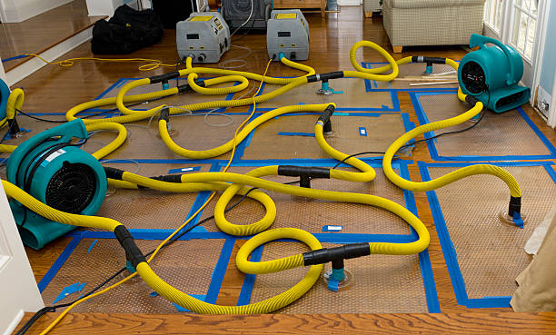 Professional Emergency Water Removal technician working in Leighton, AL